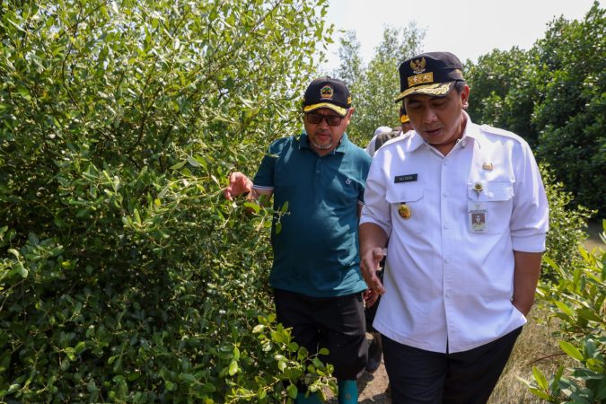 Wakil Gubernur Jateng Taj Yasin, seusai menanam mangrove bersama warga di Desa Surodadi, Kecamatan Sayung, Kabupaten Demak, Rabu (28/5/2025)